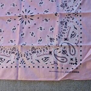 Cody James Soft Pink Bandana